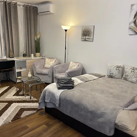 Studio cozy - Calea Moșilor-2