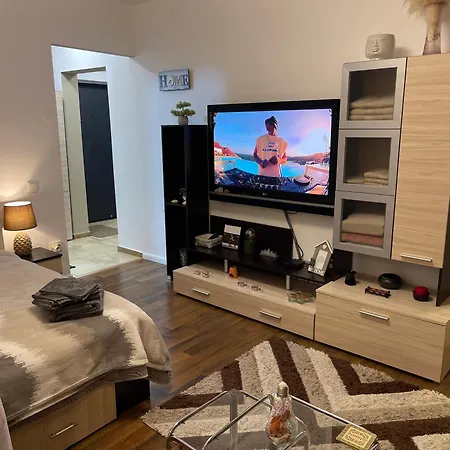 Studio cozy - Calea Moșilor-3